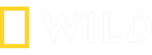 Nat Geo Wild